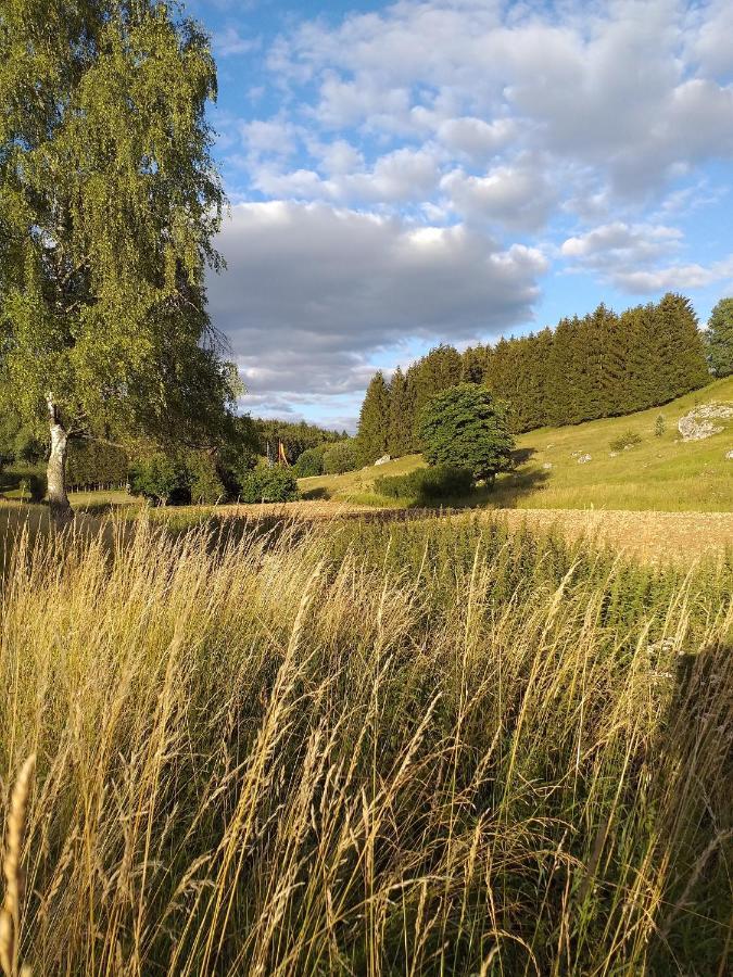 Landcafe Sima & Zimmervermietung Forheim Exteriör bild
